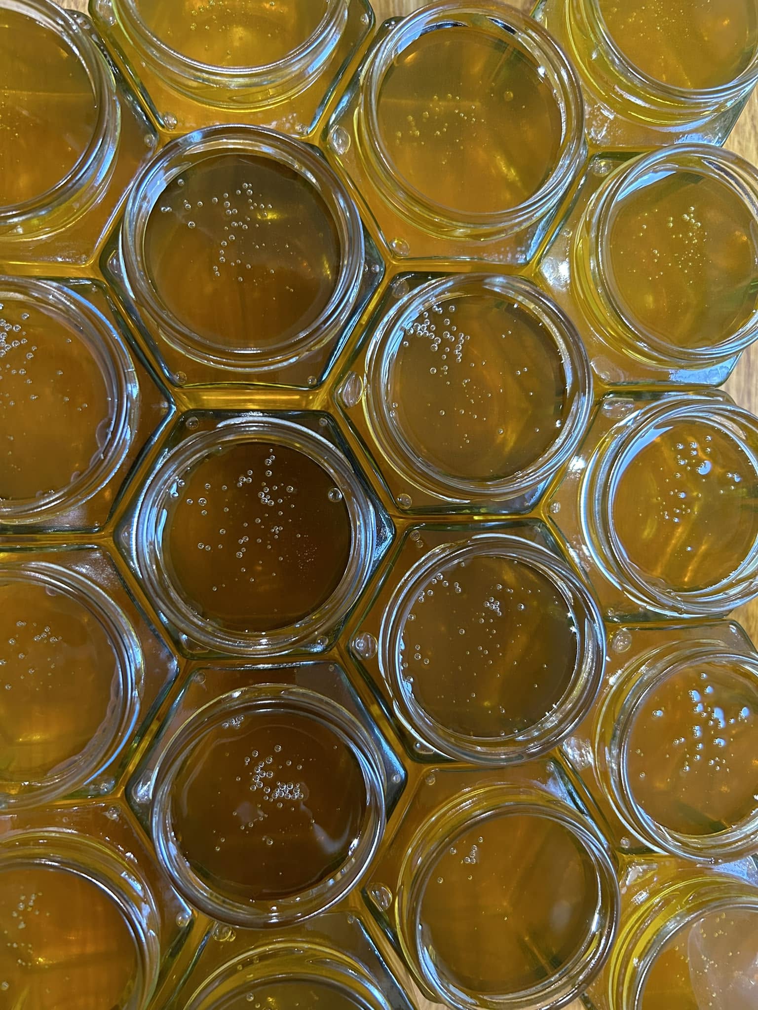 Honeycomb dripping with golden honey